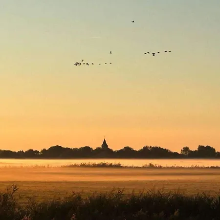 With 2 Bedrooms Appartement Westerhever