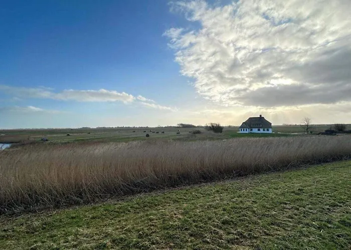 Appartement With 2 Bedrooms Westerhever